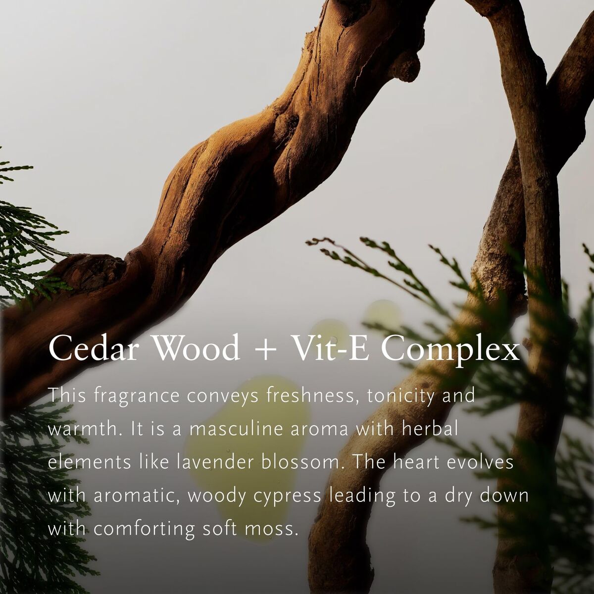 Women's Cosmetics Set Rituals HOMME-3